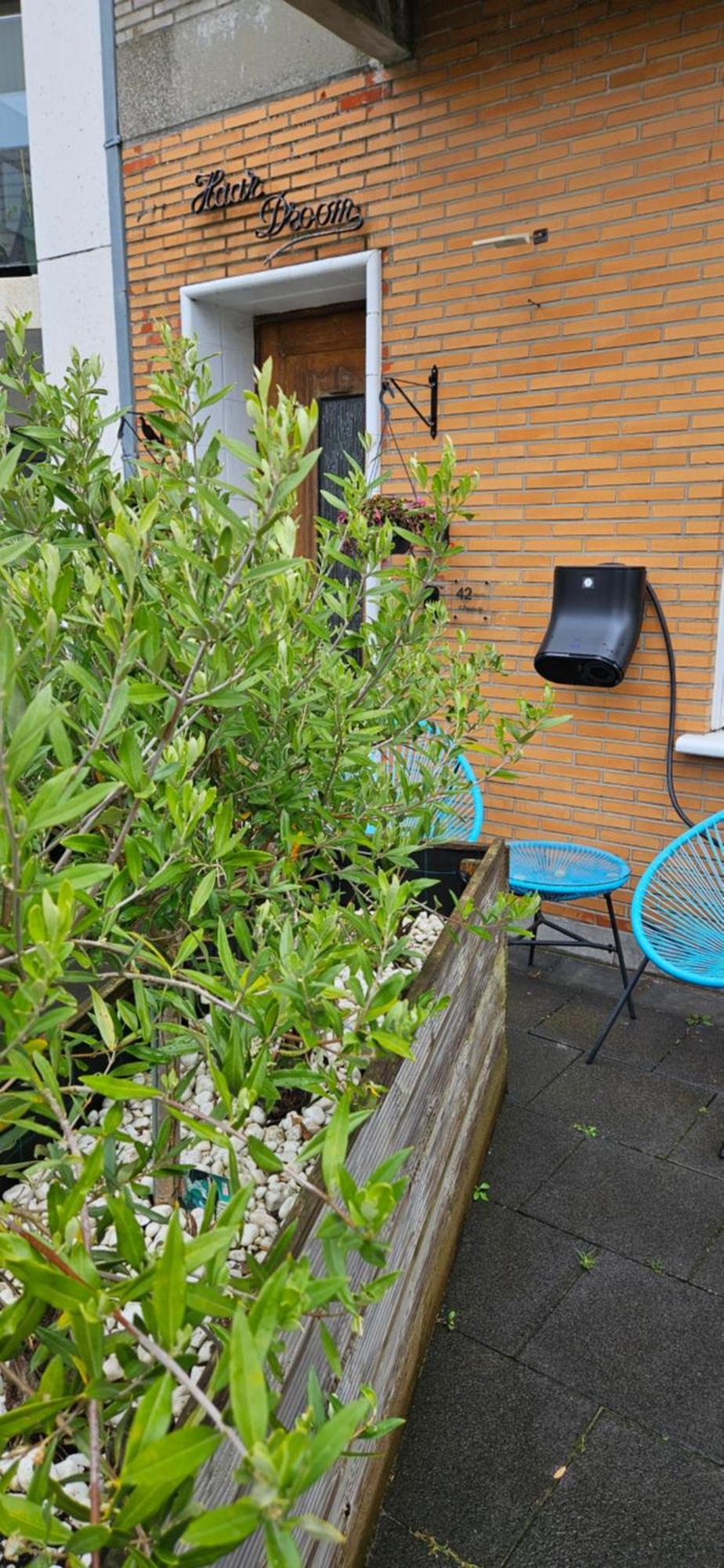@Zakibelle Lägenhet Bredene Exteriör bild